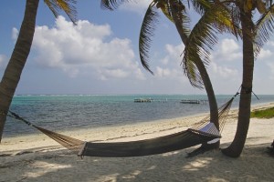 cayman-island-