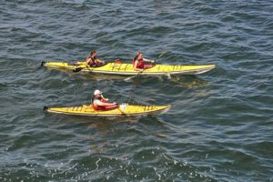 kayak
