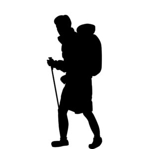 traveller