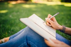 travel writer